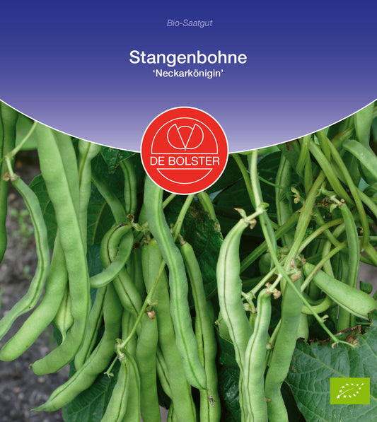 Artikelbild 1 von "BIO Stangenbohne Neckarkönigin" aus der Kategorie Stangenbohnensamen