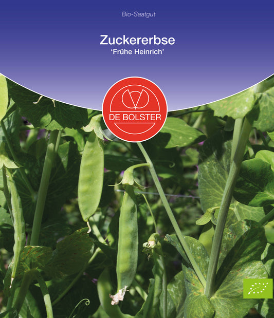 Artikelbild 1 von "BIO Zuckererbse frühe Heinrich" aus der Kategorie Zuckererbsensamen