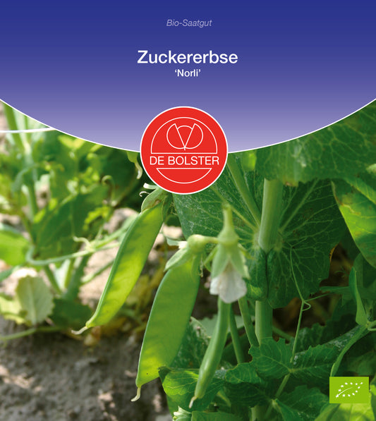 Artikelbild 1 von "BIO Zuckererbse Norli" aus der Kategorie Zuckererbsensamen