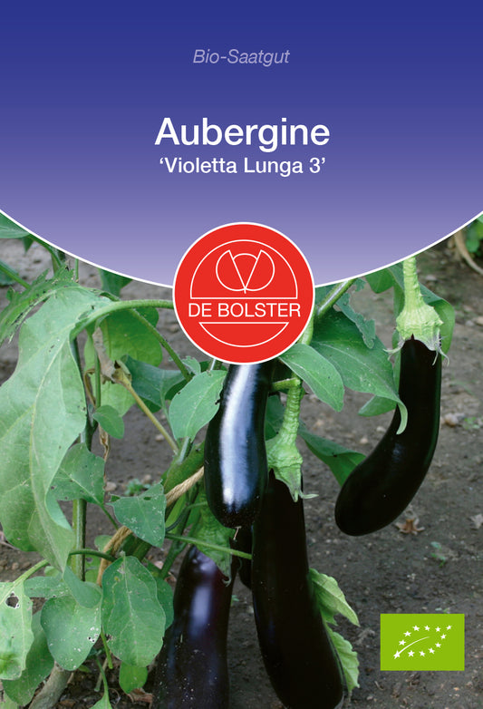 Artikelbild 1 von "BIO Aubergine Violetta Lunga 3" aus der Kategorie Auberginensamen