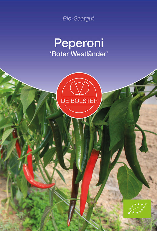 Artikelbild 1 von "BIO Peperoni Roter Westländer" aus der Kategorie Gemüsesamen