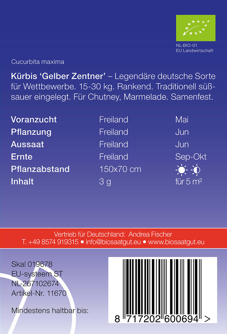 Artikelbild 2 von "BIO Kürbis Gelber Zentner" aus der Kategorie Kürbissamen