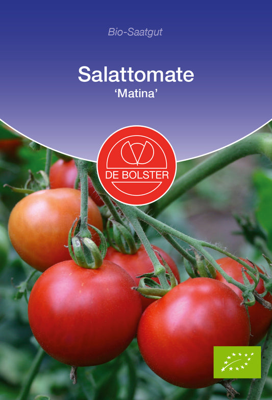 Artikelbild 1 von "BIO Salattomate Matina" aus der Kategorie Tomatensamen