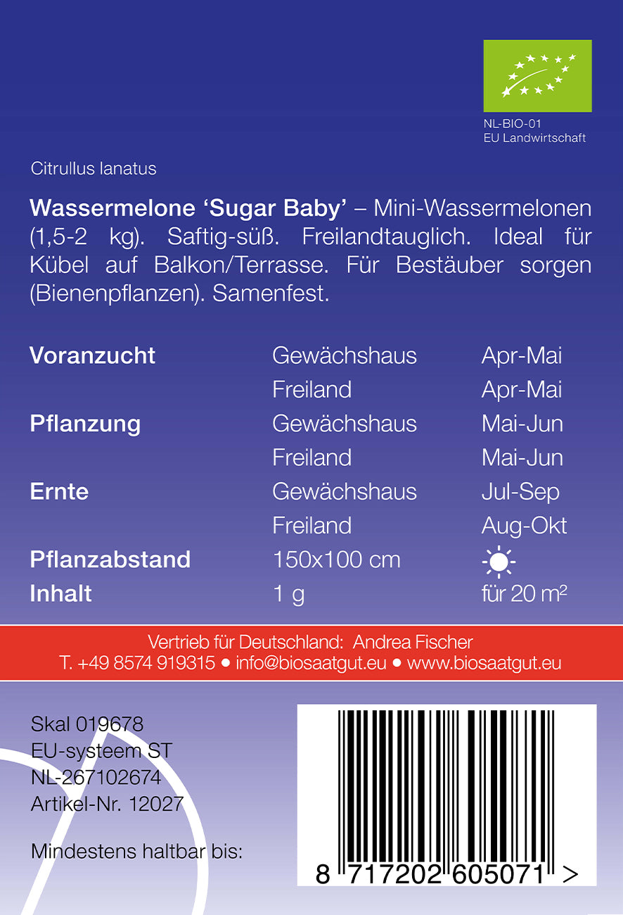 Artikelbild 2 von "BIO Wassermelone Sugar Baby" aus der Kategorie Wassermelonensamen