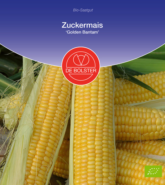 Artikelbild 1 von "BIO Zuckermais Golden Bantam" aus der Kategorie Maissamen