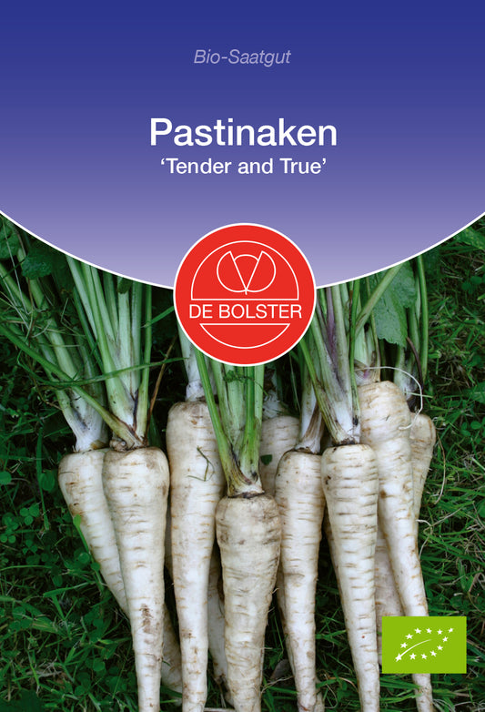 Artikelbild 1 von "BIO Pastinake Tender and True" aus der Kategorie Pastinakensamen