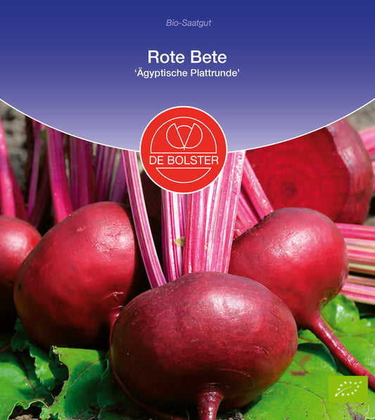 Artikelbild 1 von "BIO Rote Beete Ägyptische Plattrunde" aus der Kategorie Rote Beetesamen