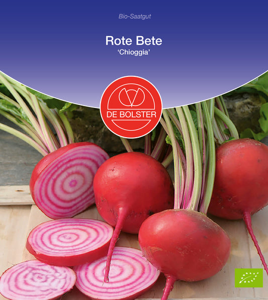 Artikelbild 1 von "BIO Rote Beete Chioggia" aus der Kategorie Rote Beetesamen