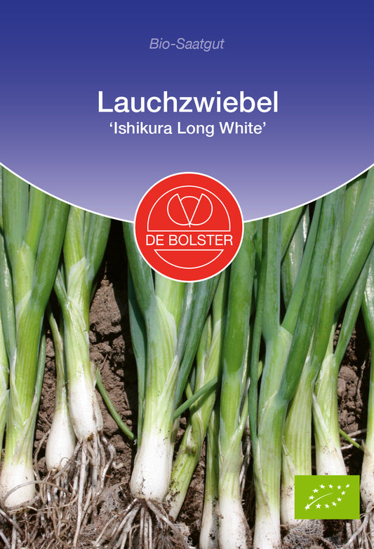 Artikelbild 1 von "BIO Lauchzwiebel Ishikura Long White" aus der Kategorie Lauchsamen