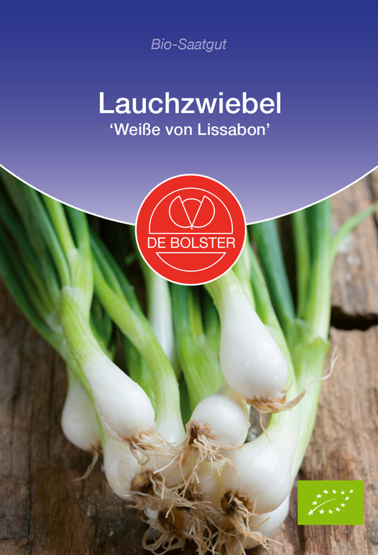 Artikelbild 1 von "BIO Lauchzwiebel Weiße von Lissabon" aus der Kategorie Lauchsamen