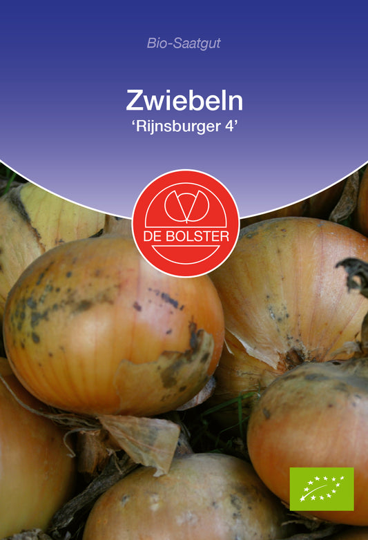 Artikelbild 1 von "BIO Zwiebeln Rijnsburger 4" aus der Kategorie Zwiebelsamen