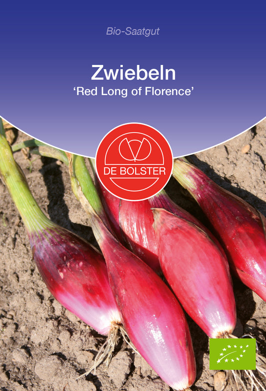 Artikelbild 1 von "BIO Zwiebeln Red Long of Florence" aus der Kategorie Zwiebelsamen