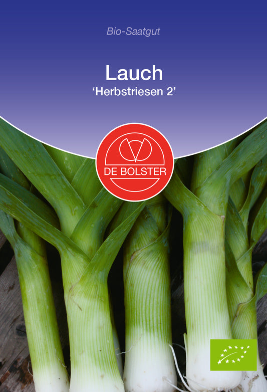 Artikelbild 1 von "BIO Lauch Herbstriesen Riesen 2" aus der Kategorie Lauchsamen