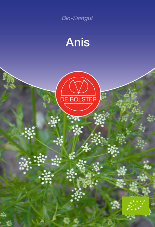Artikelbild 1 von "BIO Anis" aus der Kategorie Anissamen