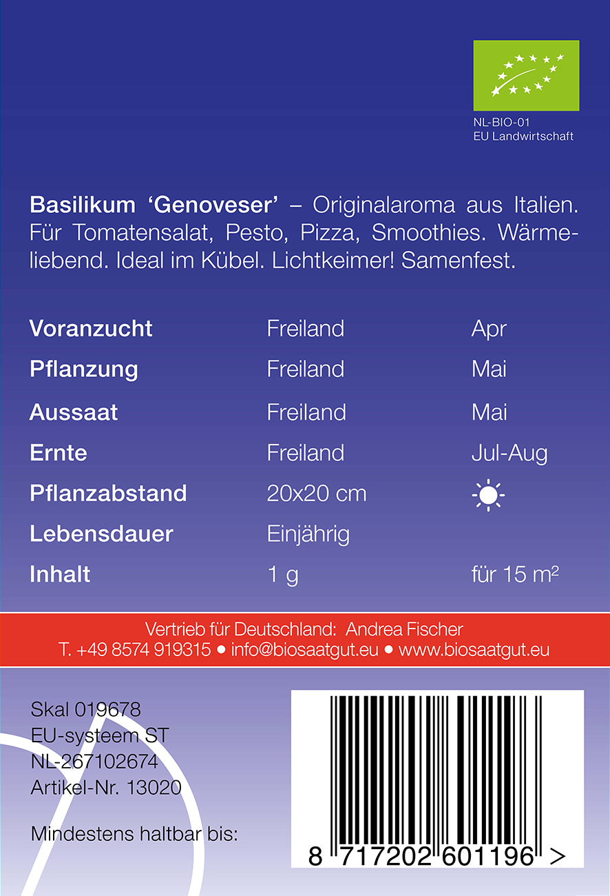 Artikelbild 2 von "BIO Basilikum Genoveser" aus der Kategorie Basilikumsamen