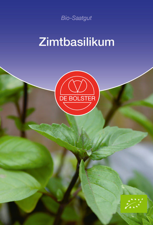 Artikelbild 1 von "BIO Zimtbasilikum" aus der Kategorie Basilikumsamen