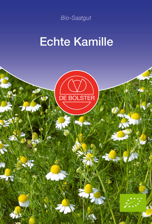Artikelbild 1 von "BIO Echte Kamille" aus der Kategorie Kamillesamen