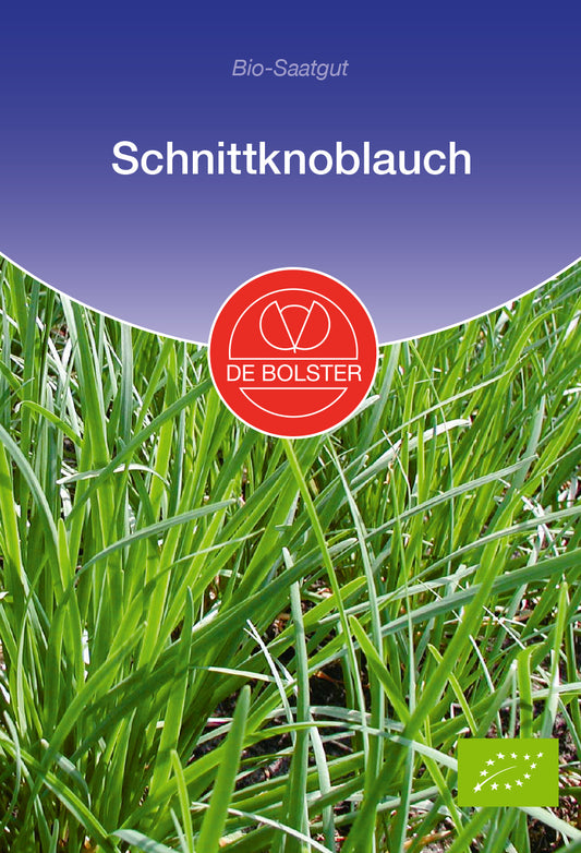 Artikelbild 1 von "BIO Schnittknoblauch" aus der Kategorie Knoblauchsamen