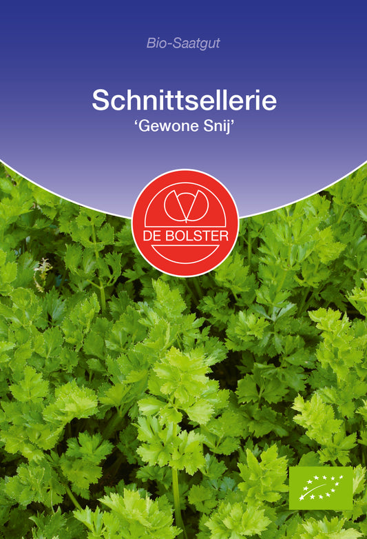 Artikelbild 1 von "BIO Schnittsellerie Gewone Snij" aus der Kategorie Schnittselleriesamen