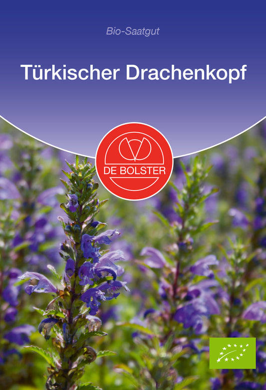 Artikelbild 1 von "BIO Türkischer Drachenkopf" aus der Kategorie Kräutersamen