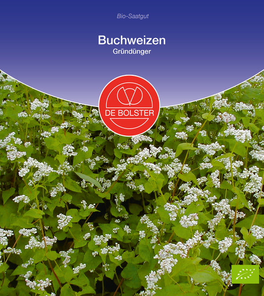 Artikelbild 1 von "BIO Buchweizen Gründünger" aus der Kategorie Gründünger & -düngung