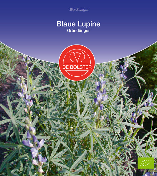 Artikelbild 1 von "BIO Blaue Lupine Gründünger" aus der Kategorie Gründünger & -düngung