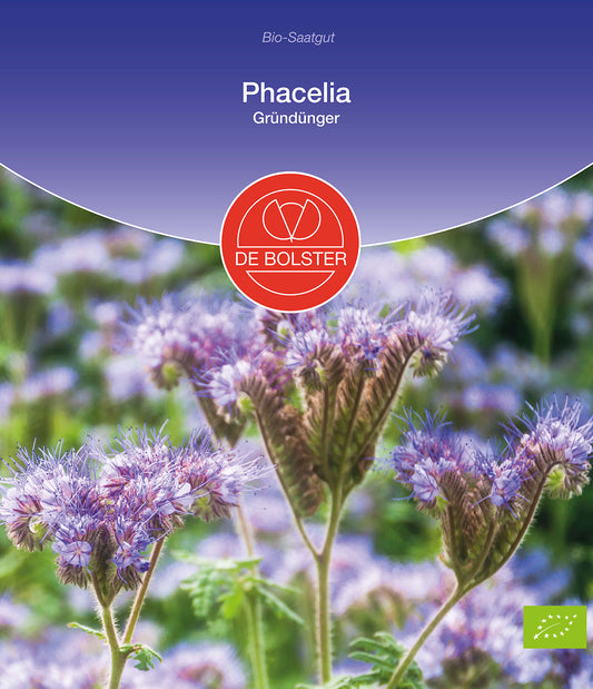 Artikelbild 1 von "BIO Phacelia Gründünger" aus der Kategorie Phaceliasamen