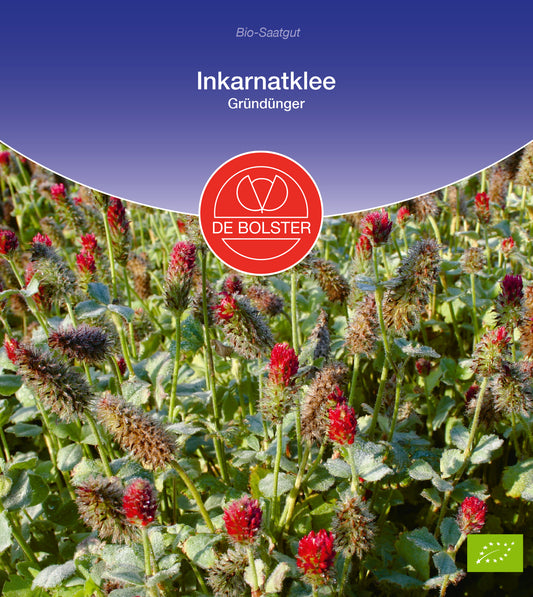 Artikelbild 1 von "BIO Inkarnatklee Gründünger" aus der Kategorie Gründünger & -düngung