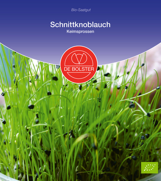 Artikelbild 1 von "BIO Schnittknoblauch Keimsprossen" aus der Kategorie Keimsprossen