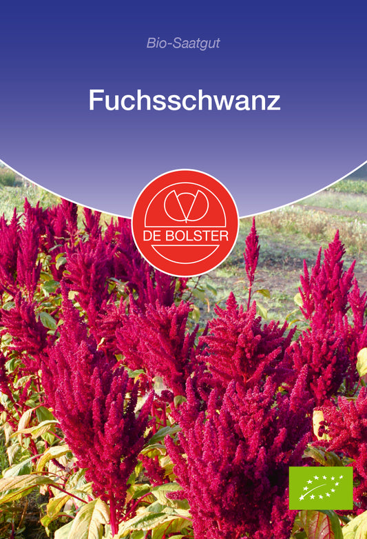 Artikelbild 1 von "BIO Fuchsschwanz" aus der Kategorie Fuchsschwanzsamen