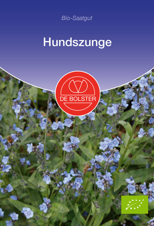 Artikelbild 1 von "BIO Hundszunge" aus der Kategorie Blumensamen