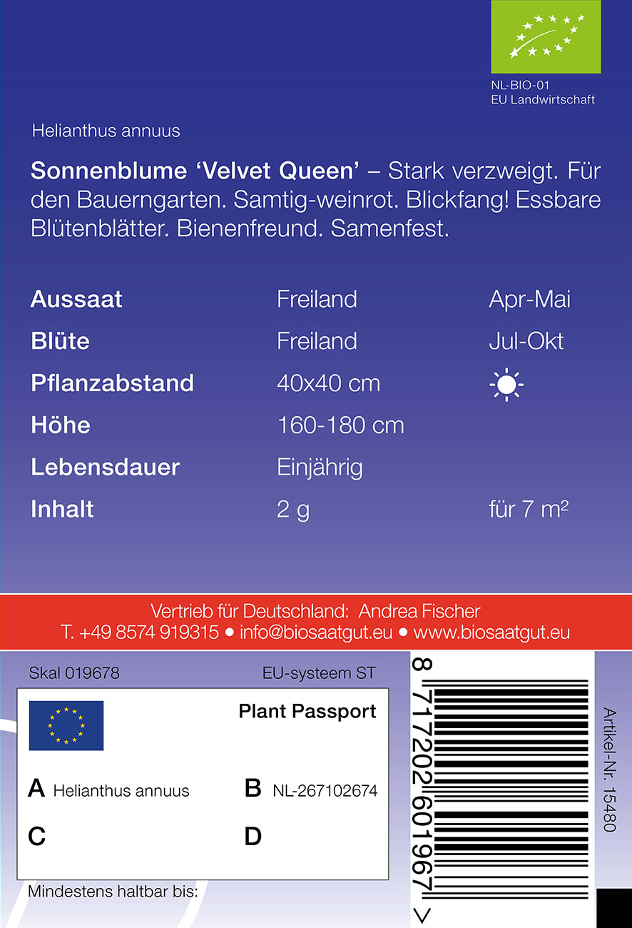 Artikelbild 2 von "BIO Sonnenblume Velvet Queen" aus der Kategorie Sonnenblumensamen