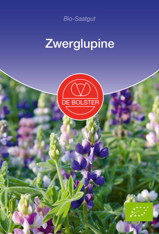 Artikelbild 1 von "BIO Zwerglupine" aus der Kategorie Lupinensamen