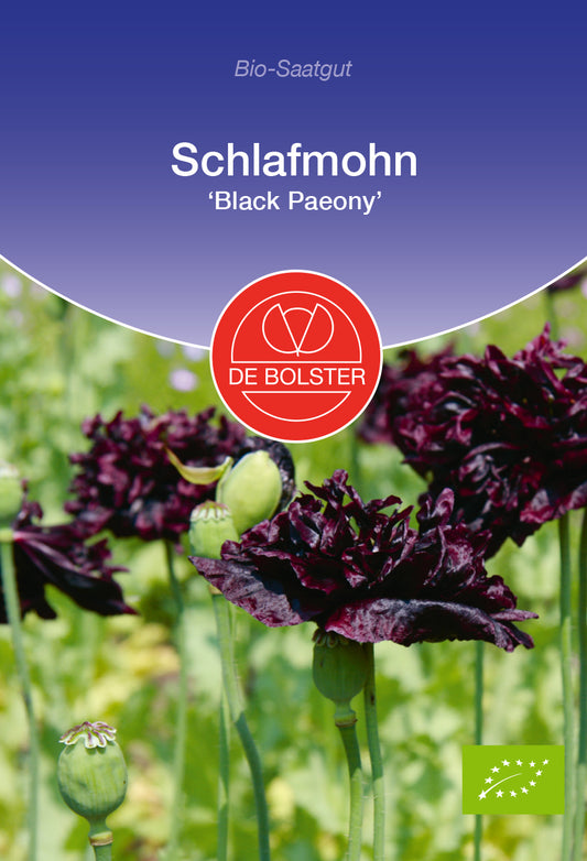 Artikelbild 1 von "BIO Schlafmohn Black Paeony" aus der Kategorie Mohnsamen