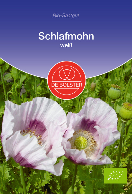Artikelbild 1 von "BIO Schlafmohn weiß" aus der Kategorie Mohnsamen