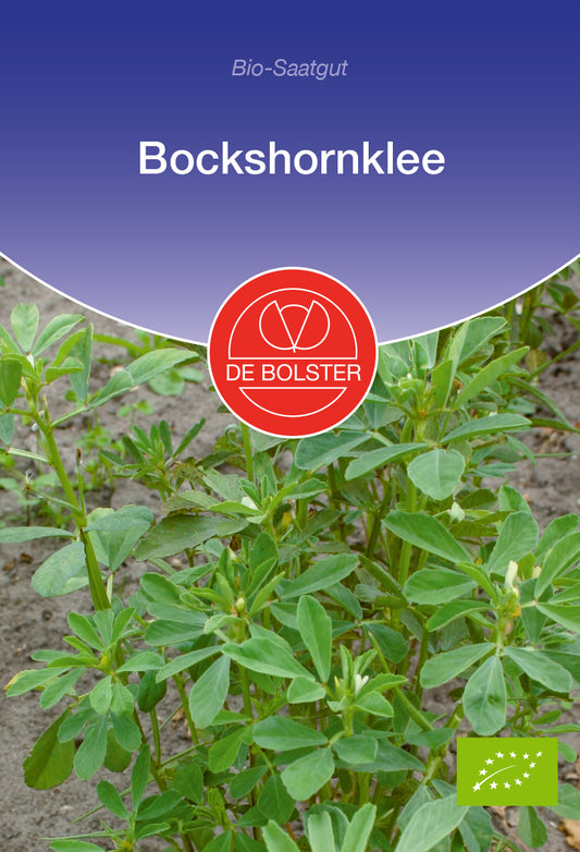 Artikelbild 1 von "BIO Bockshornklee" aus der Kategorie Kräutersamen
