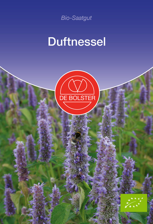 Artikelbild 1 von "BIO Duftnessel" aus der Kategorie Buntnesselsamen