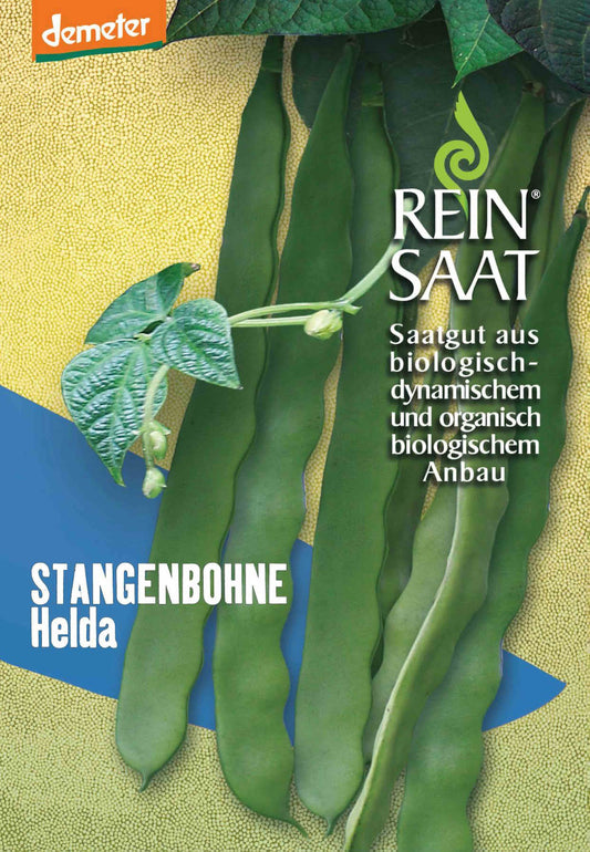 Artikelbild 1 von "BIO Stangenbohne Helda" aus der Kategorie Stangenbohnensamen
