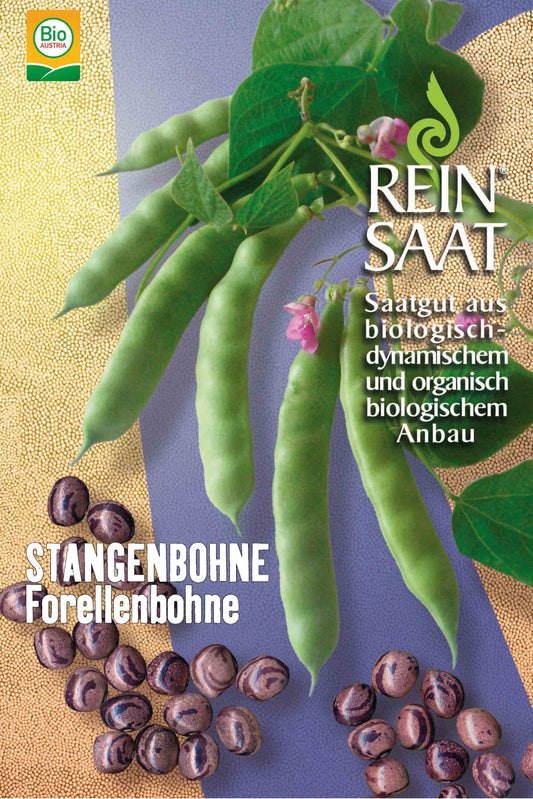 Artikelbild 1 von "BIO Forellenbohne" aus der Kategorie Stangenbohnensamen