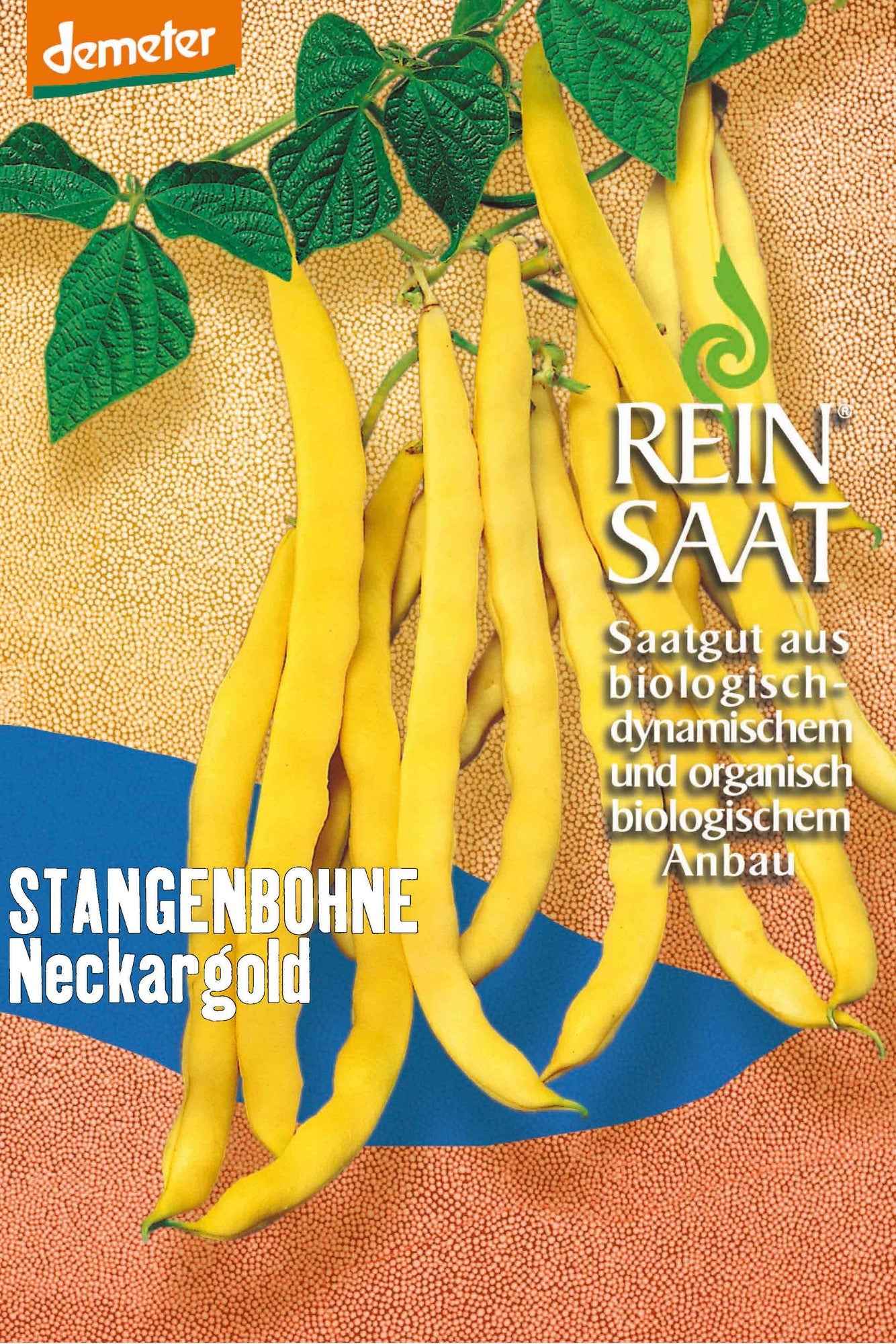 Artikelbild 1 von "BIO Stangenbohne Neckargold" aus der Kategorie Stangenbohnensamen