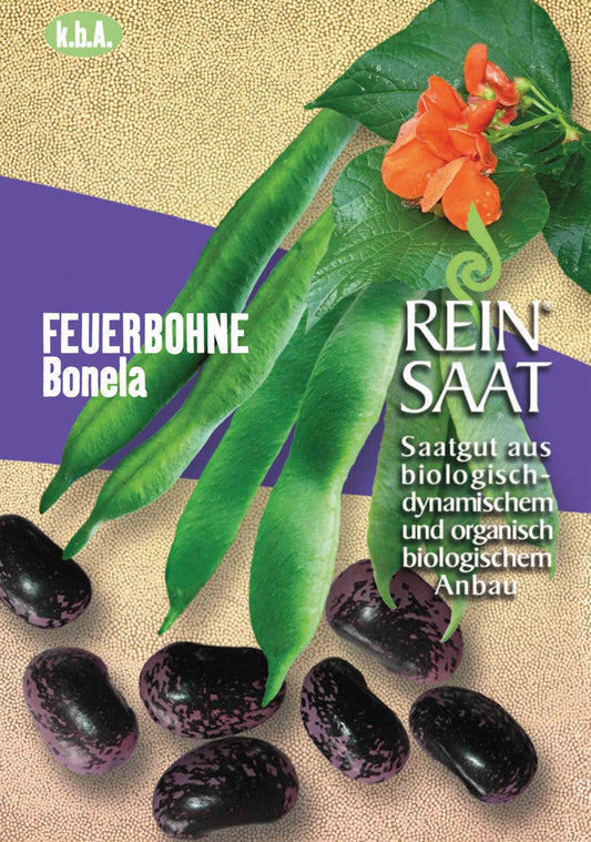 Artikelbild 1 von "BIO Feuerbohne Bonela" aus der Kategorie Prunkbohnensamen
