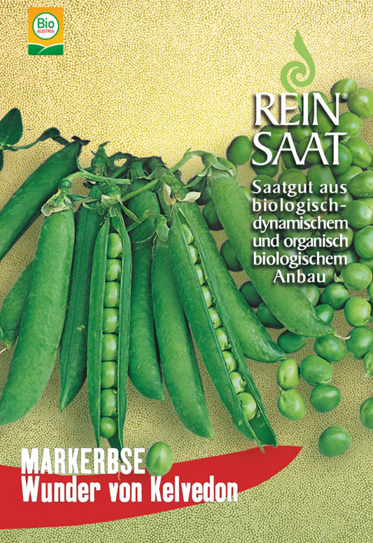 Artikelbild 1 von "BIO Markerbse Wunder v. Kelvedon" aus der Kategorie Markerbsensamen