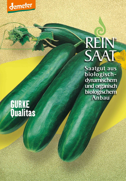Artikelbild 1 von "BIO Salatgurke Qualitas" aus der Kategorie Salatgurkensamen