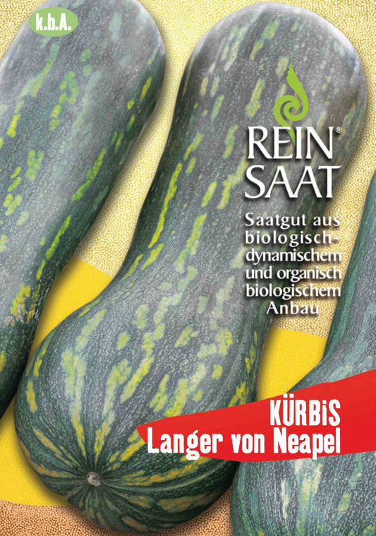 Artikelbild 1 von "BIO Kürbis Langer von Neapel" aus der Kategorie Kürbissamen