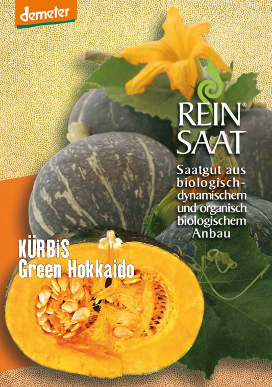 Artikelbild 1 von "BIO Kürbis Green Hokkaido" aus der Kategorie Hokkaidokürbissamen