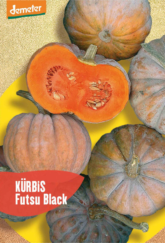 Artikelbild 1 von "BIO Kürbis Futsu Black" aus der Kategorie Kürbissamen
