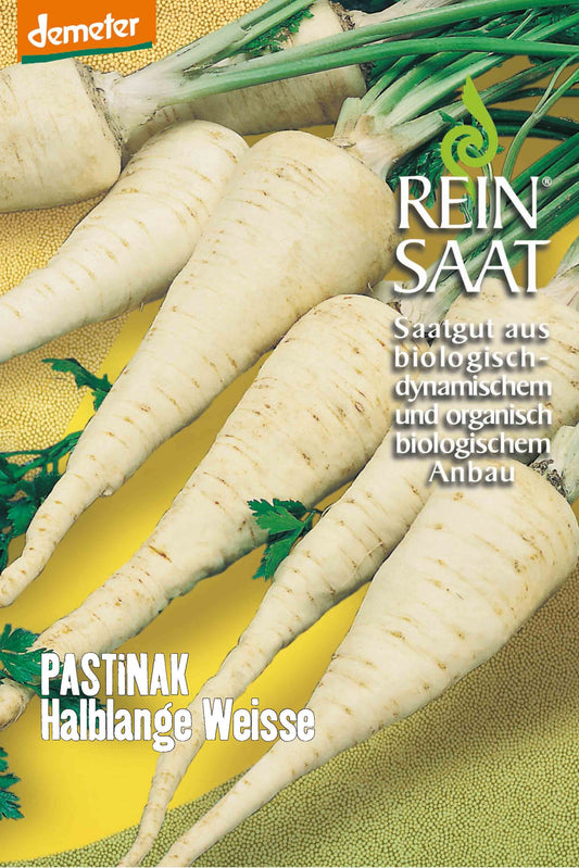 Artikelbild 1 von "BIO Pastinake Halblange Weiße" aus der Kategorie Pastinakensamen