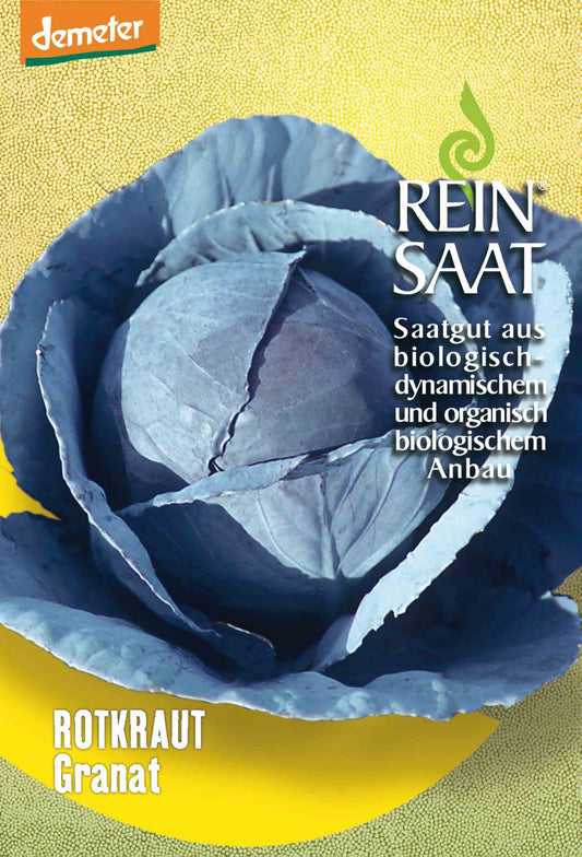 Artikelbild 1 von "BIO Rotkraut Granat" aus der Kategorie Rotkohlsamen
