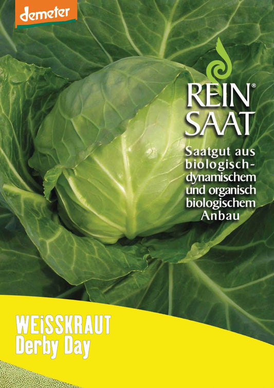 Artikelbild 1 von "BIO Weißkraut Derby Day" aus der Kategorie Weißkohlsamen