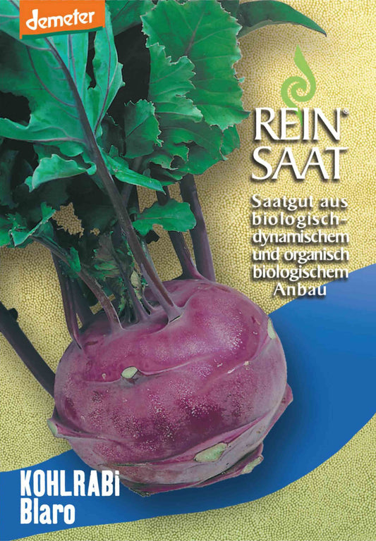 Artikelbild 1 von "BIO Kohlrabi Blaro" aus der Kategorie Kohlrabisamen